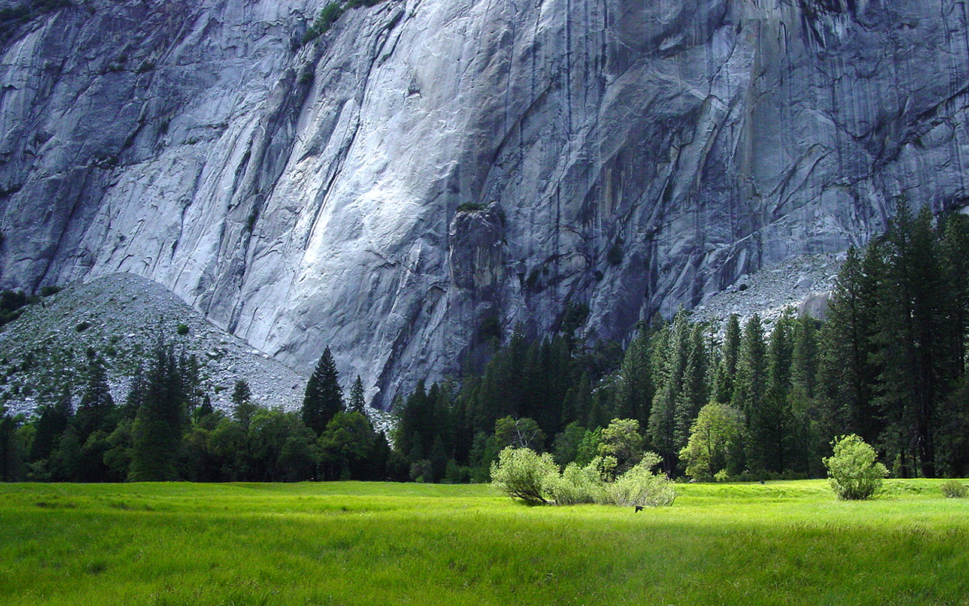 Rock Face Yosemite Best Background Full HD1920x1080p, 1280x720p, - HD Wallpapers Backgrounds Desktop, iphone & Android Free Download